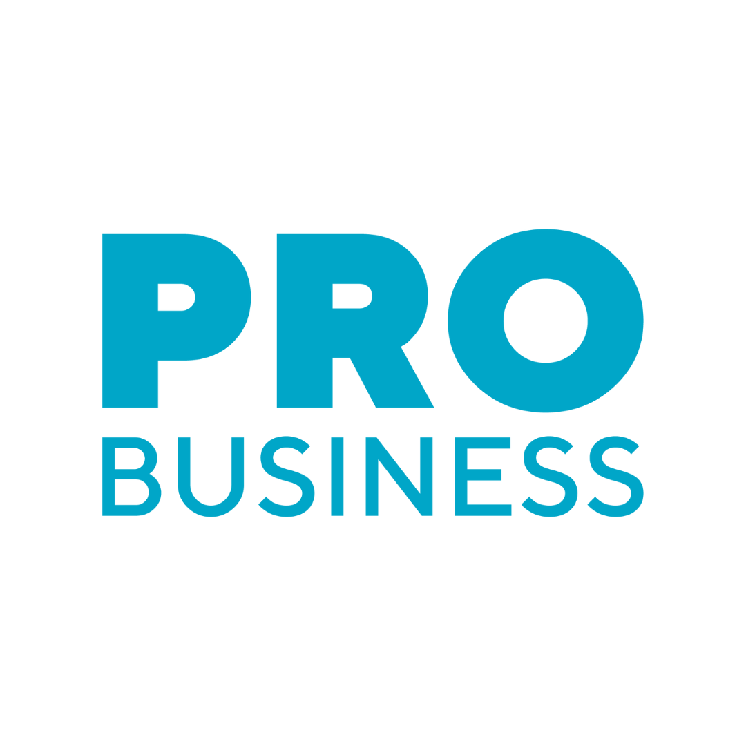 Портал Probusiness.kz